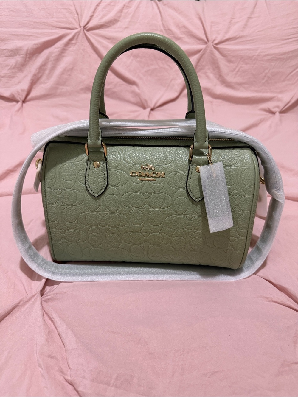Coach Rowan Satchel Bag In Signature Leather Pistachio